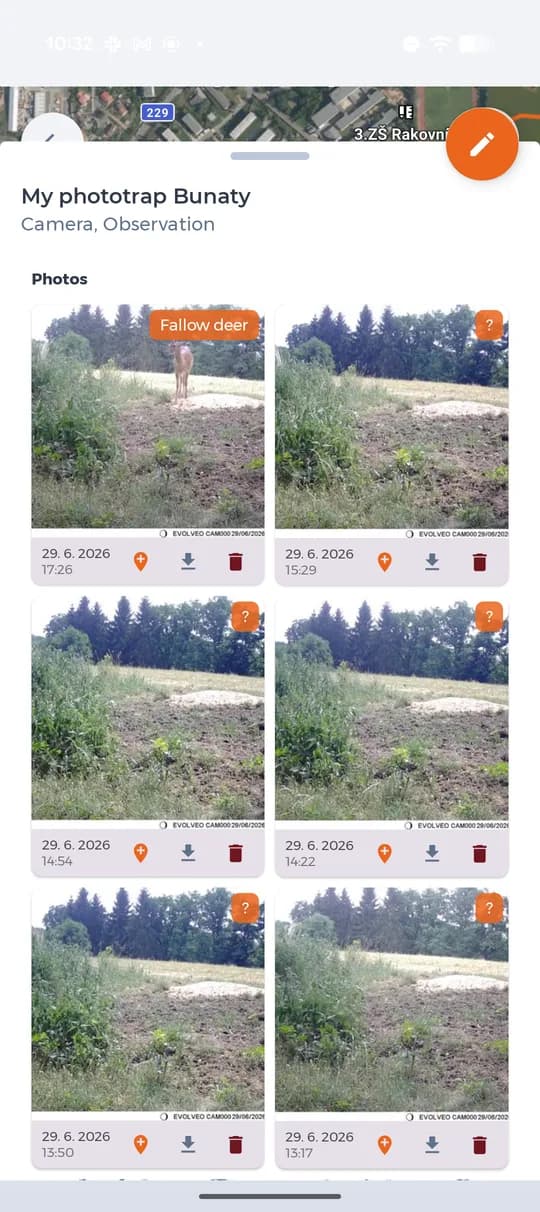 Fotky z fotopasti s rozpoznaným druhem.