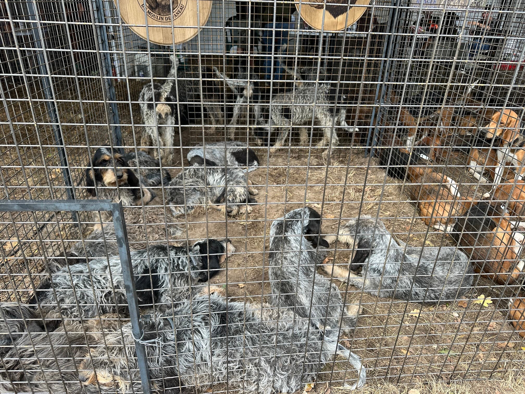 Terre de Chasse