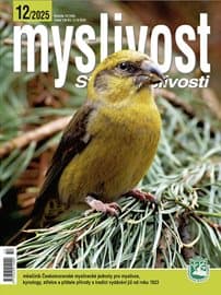 Myslivost 12/2025